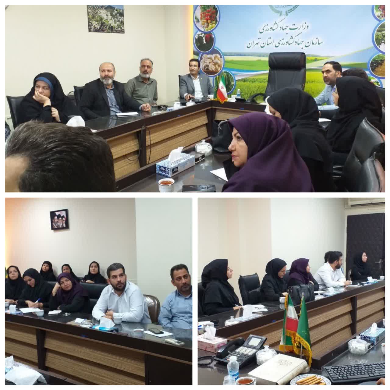 برگزاری دوره آموزشی آشنایی با نظام رسیدگی به تخلفات اداری در سازمان جهادکشاورزی استان تهران
