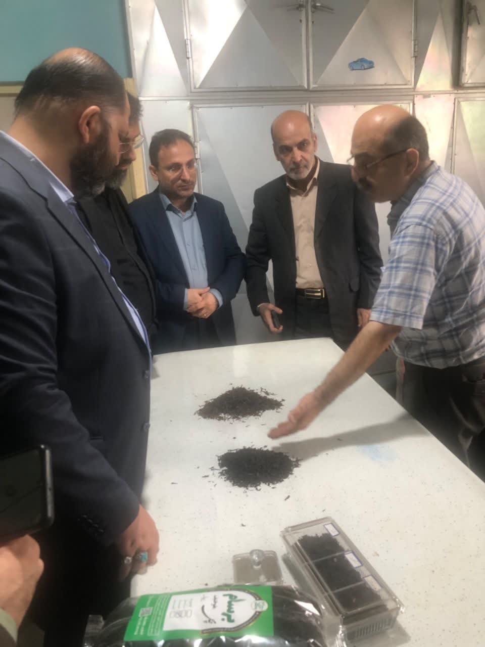 بازدید مدیر کل و مدیران امور اداری وزارت جهادکشاورزی از سازمان چای کشور 